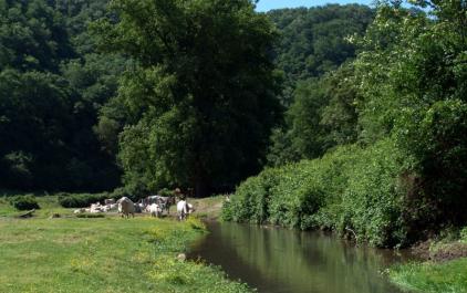 Biodiversità ed ecologia Biodiversità ed ecologia